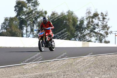 media/Feb-16-2025-TrackDaz (Sun) [[85eae43da9]]/C Group/140pm (Wheelie Dip)/